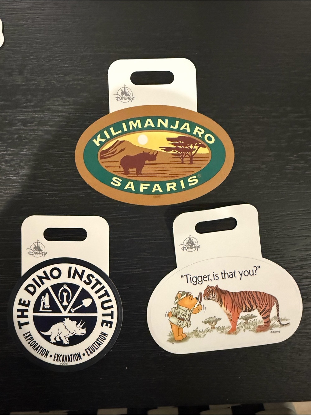 Disney parks stickers animal kingdom set of 3